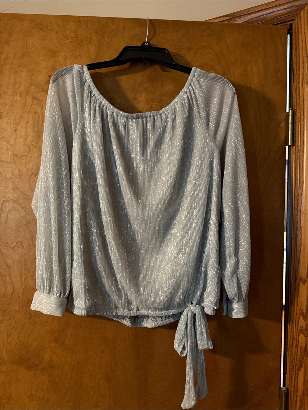CeCe Silver Shimmery Long-Sleeve Tie-Hem Blouse